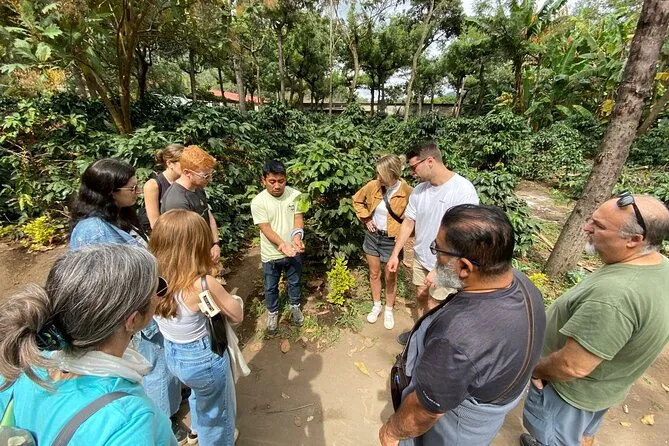Travelers riding ATVs on an Antigua ATV coffee tour to a coffee farm near Antigua Guatemala
