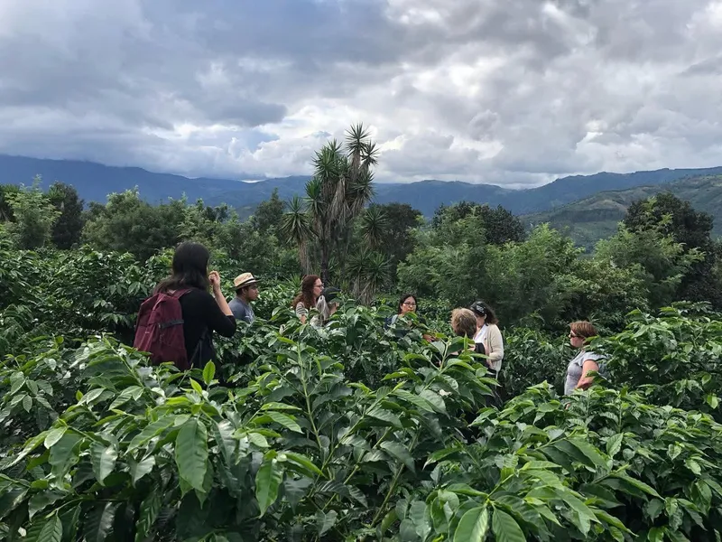 Roasting coffee beans on an Antigua coffee farm and chocolate tour in Guatemala
